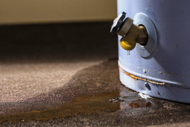 Best Mold removal after water damage  in Harrington, DE