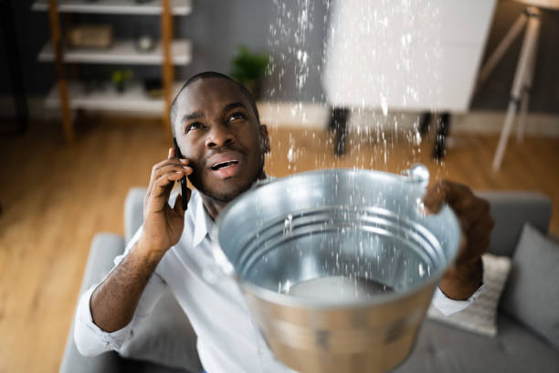 Best Local water damage restoration  in Harrington, DE