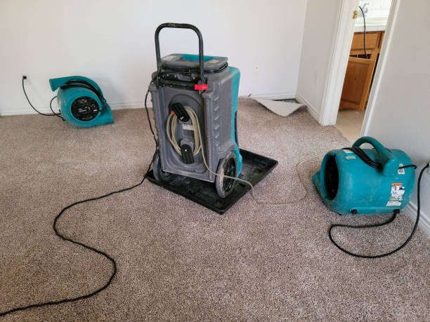 Best 24/7 water damage repair  in Harrington, DE