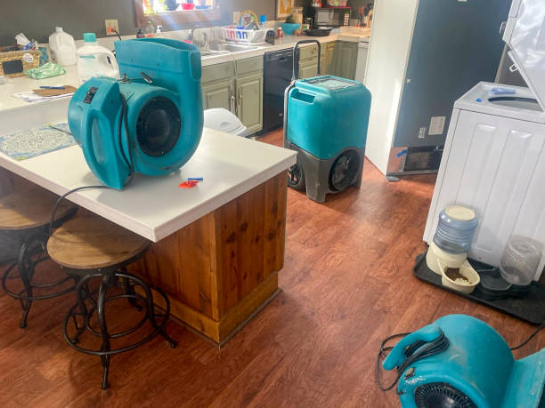 Best Ceiling water damage repair  in Harrington, DE