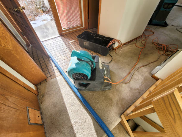 Best Flood restoration services  in Harrington, DE