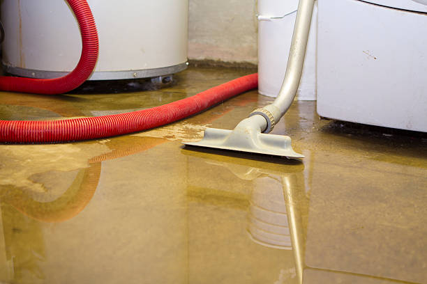 Best Flooded house restoration  in Harrington, DE