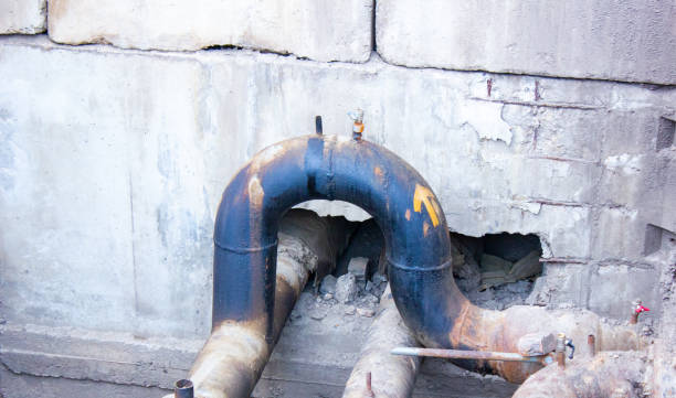 Best Basement water damage restoration  in Harrington, DE