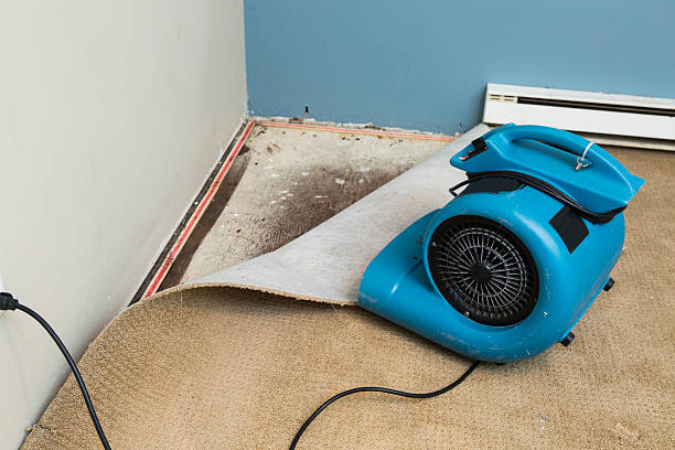  Harrington, DE Water damage restoration Pros